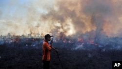 Seorang petugas pemadam kebakaran berdiri di depan lahan gambut yang terbakar, di Pemulutan, Sumatra Selatan, 30 Juli 2015.