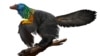 Scientists Discover a Dinosaur with Shiny, Color-Changing Feathers