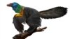 Quiz - Scientists Discover a Dinosaur with Shiny, Color-Changing Feathers