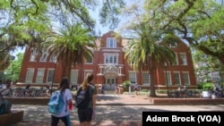 The University of Florida is located on a beautiful 800-hectare campus in Gainesville, Florida.