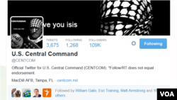 미 국방부 네트워크를 해킹했다고 주장하는 자칭 ‘IS 해커’ 트위터 계정.