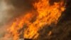 美国西部森林大火严重程度会继续增加