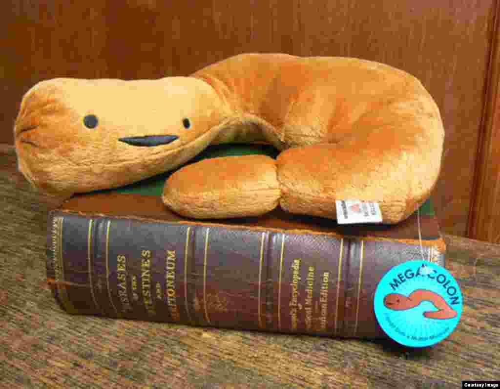 The Mega Colon plush toy sold in the gift shop at the Mütter Museum of The College of Physicians of Philadelphia. (Courtesy Mütter Museum)