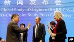 世界卫生组织团队的马里恩·科普曼斯(右)和彼得·本·安巴雷克(中)在举行有关在武汉展开的病毒来源调查研究的新闻发布会后与中国同事告别。(2021年2月9日)