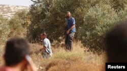 Những người lập cư Do Thái (giữa) mang súng đi quanh cánh đồng ô liu trong mùa thu hoạch ô liu của người Palestine gần một khu định cư phía đông thành phố Nablus, ngày 15 tháng 10, 2010.