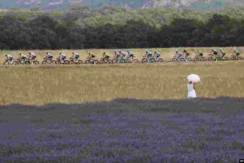 A woman with an umbrella stands next to a lavender field as she watches the pack with Britain's Chris Froome pass during the nineteenth stage of the Tour de France cycling race.