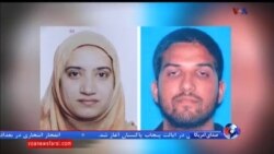 اخبار شامگاهی