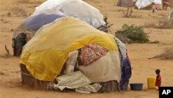 Un enfant devant une hutte dans un camps de réfugiés de Dadaab.