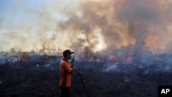 Salah seorang anggota tim pemadam kebakaran berusaha mengatasi kebakaran hutan di Pemulutan, Sumatra Selatan pada Juli 2015 (foto: dok). 