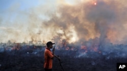 Seorang petugas pemadam kebakaran berbicara pada walkie talkie saat ia dan timnya berupaya memadamkan kebakaran di lahan gambut di Pemulutan, Sumatera Selatan, Juli 2015. 