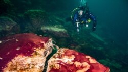 Science in a Minute: Oxygen Production May Have Been Boosted by Longer Day Length