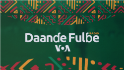 Daande Fulɓe: sukaaɓe no waasaa tawnoreede ka eɓɓooje ngenndiije ɗen ƴettetee ɗon, hay si tawii hiɓe tiiɗnii e banŋe politiki/dawro