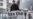 Austrian Heiress Pays to Give Away $27 Million Fortune