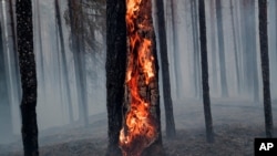The scene of a forest fire in Pryazhinsky District of the Republic of Karelia, about 700 km (438 miles) south-west of Moscow, Russia on July 21, 2021.