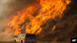 Un incendie ravage les paysages, à Keenbrook, Californie, le 17 août 2016.