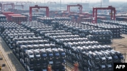 在苏州一个国际货运码头，大批比亚迪电动车正等待上载到货船上运往国际市场。（法新社2024年2月8日） 
