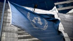 EEUU volvió a vetar una resolución del Consejo de Seguridad de la ONU, respaldada por los árabes, para un alto el fuego inmediato en Gaza. 