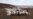 For Algeria's Struggling Herders, ‘Drought Stops Everything'
