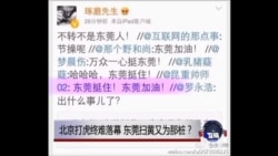 时事大家谈:北京打虎终难落幕，东莞扫黄又为那桩？