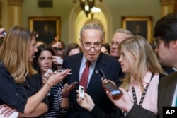 FILE - Sen. Chuck Schumer is surrounded by reporters at the Capitol in Washington, D.C., July 29, 2014.