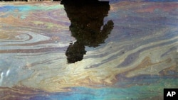 Oil sheen on water in gulf.