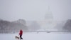 Yon moun mache ak chyen li nan pak ki tou pre Capitol la, pandan yon tanpet nej nan Washington, Lendi 6 Janvye 2025.