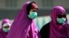 WHO: MERS Virus of Concern Before Haj, Surge Abating