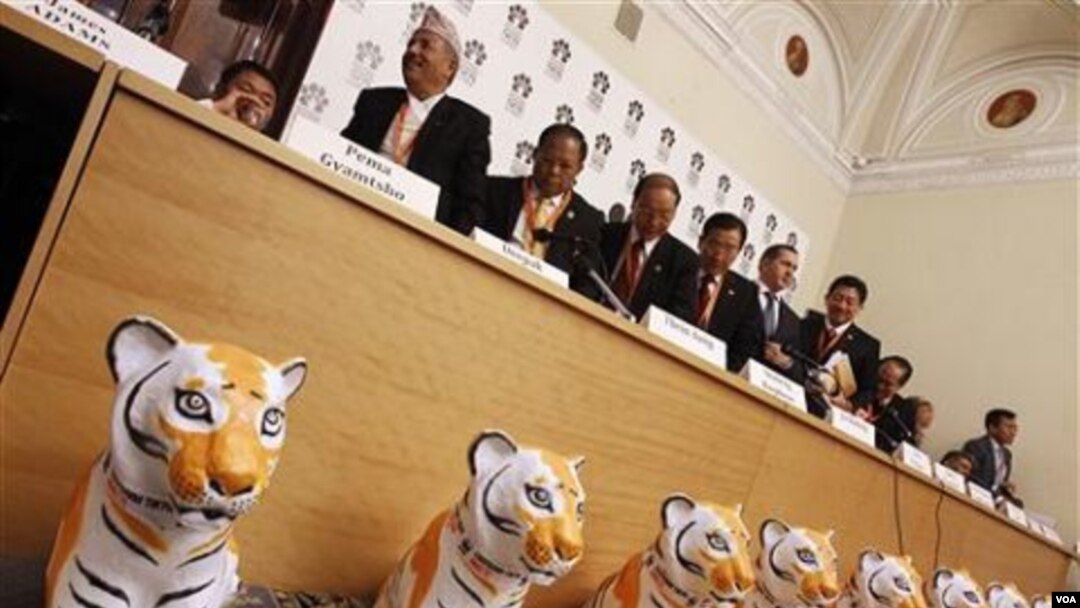 Para negara peserta KTT untuk menyelamatkan harimau di St. Petersburg, Rusia.