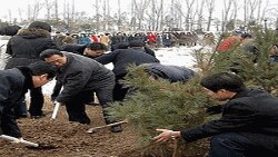 식수절을 맞아 나무를 심는 평양 시민들