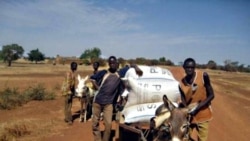 Farmers in Burkina Faso transport their harvest in airtight bags