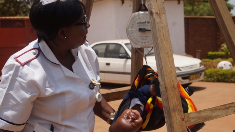 Malawi 'exports' nurses due to unemployment