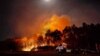Kebakaran Hutan di Florida Barat Laut Picu Evakuasi dan Penutupan Jalan Raya