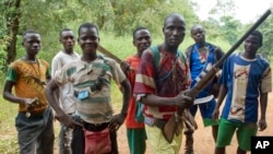 FILE - fighters from a Christian militia movement known as the "anti-balaka" display their makeshift weaponry in the village of Boubou, between the towns of Bossangoa and Bouca, Central African Republic.