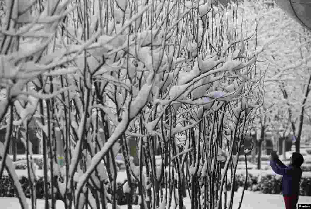 Zimska scena u parku u Pekingu. 