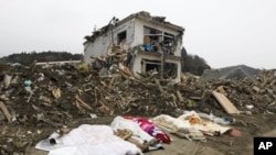 The bodies of victims are covered by blankets at a village destroyed by the earthquake and tsunami in Rikuzentakata in Iwate prefecture, northeast Japan March 15, 2011