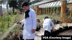 Students learn to grow crops at public school 294 in Uruguay