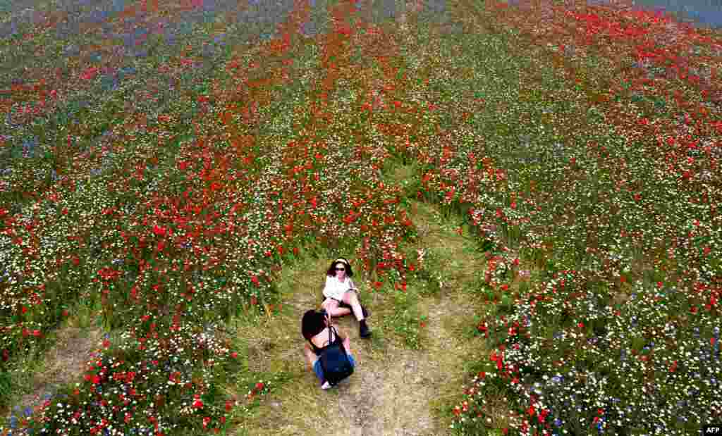 이탈리아 중부 움브리아 평원의 카스텔루치오 인근 꽃 밭에서 관광객들이 사진을 찍고 있다. 