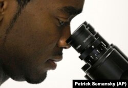 In this October 19, 2011 photo, Christopher Smith, a doctoral student in biomedical engineering, looks at stem cell samples through an inverted microscope in a laboratory at the Johns Hopkins University medical campus in Baltimore, Maryland.