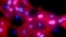 FILE - This undated fluorescence-colored microscope image made available by the National Institutes of Health in September 2016 shows a culture of human breast cancer cells. For the first time, one of the new immunotherapy drugs has shown promise against breast cancer in a large study that combined it with chemotherapy to treat an aggressive form of the disease. 