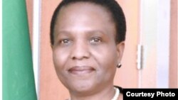 Mhemberero Huru Dzekupembera Mabasa Arikubatwa neVatori Venhau Dzoitwa Kumuzinda weAfrican Union kuAddis Ababa Ethiopia