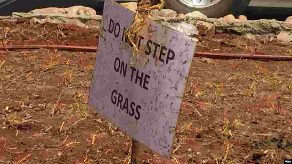 &quot;Usikanyage kwenye majani&quot; unasomeka ujumbe kando ya barabara ya Uhuru Highway mjini Nairobi, Kenya. &nbsp;