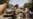 More Than 180 Convicts Sentenced to Death by Pakistan’s Military Tribunals Since 2015
