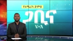 ጋቢና ቪኦኤ