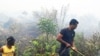 Indonesia hoãn việc ngưng phá rừng