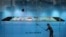 Worker cleans glass in front of an iPhone 5C advertisement at an apple store in Kunming, Yunnan province, China, Oct. 27, 2013.