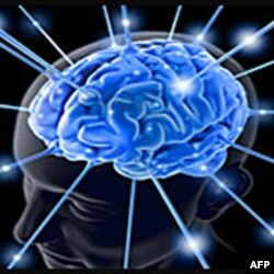 Signal mobilnog telefona može da utiče na moždane ćelije