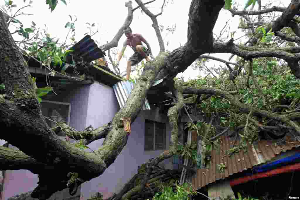 A man climbs on a fallen tree which damaged four houses in Rosario, July 18, 2014.