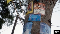 Elections campaign posters are plastered on a tree on May 15, 2014, in Zomba ahead of Malawi's Tripartite Elections. 