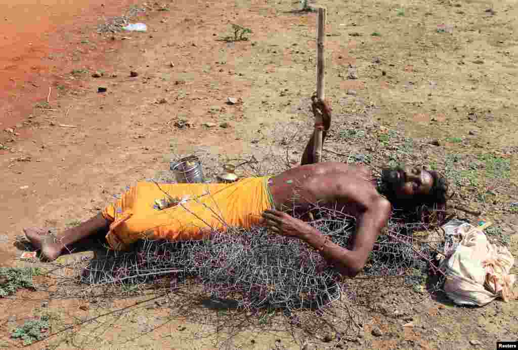 A Sadhu or a Hindu holy man lies on the thorns of a Babul tree to beg for alms on the banks of Shipra river during Simhastha Kumbh Mela in Ujjain, India.