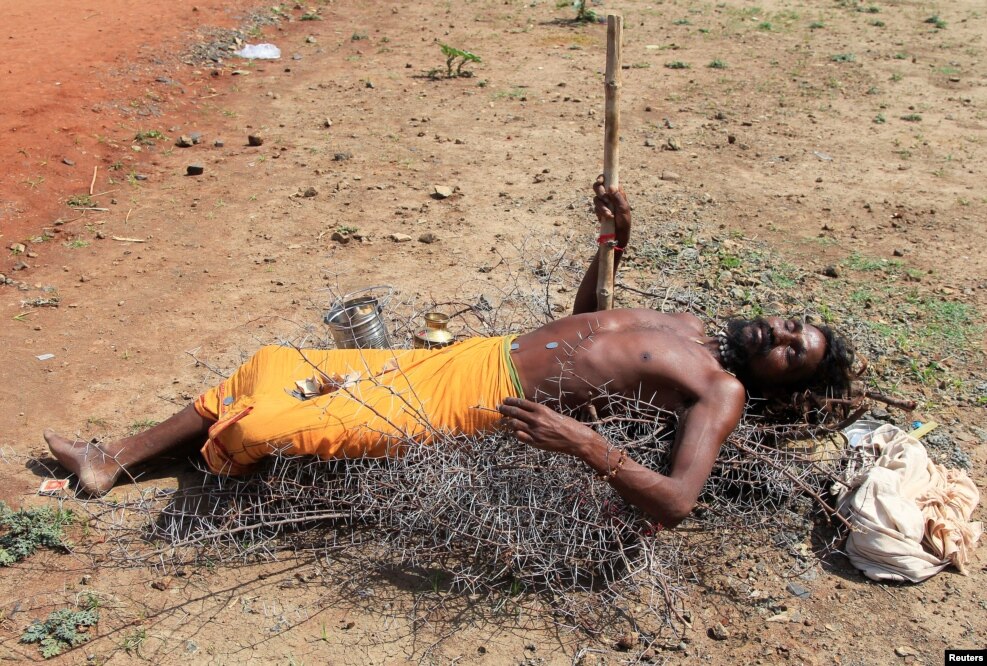 A Sadhu or a Hindu holy man lies on the thorns of a Babul tree to beg for alms on the banks of Shipra river during Simhastha Kumbh Mela in Ujjain, India, May 11, 2016.